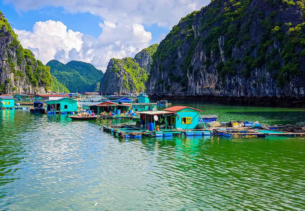 Làng chài cổ Cái Bèo là nơi mà du khách có thể tìm hiểu cuộc sống của những cư dân đã gắn bó với vịnh Lan Hạ qua nhiều thế hệ. Ảnh: Vương Lộc