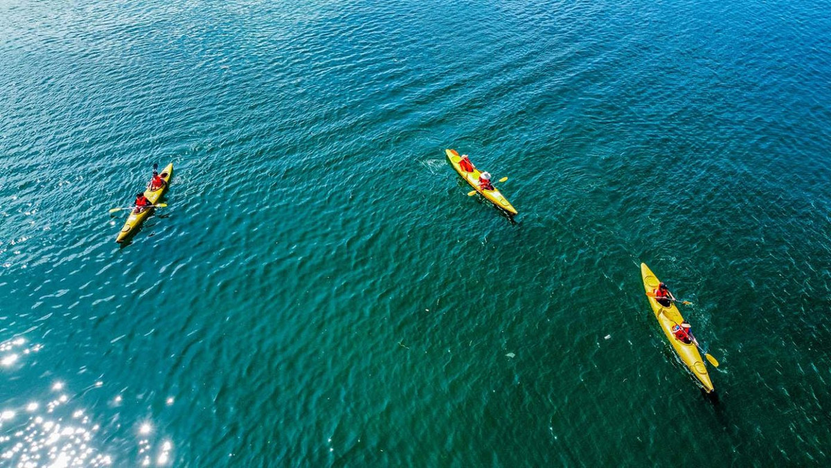 Du khách chèo thuyền khám phá vịnh Lan Hạ. Ảnh: Vương Lộc