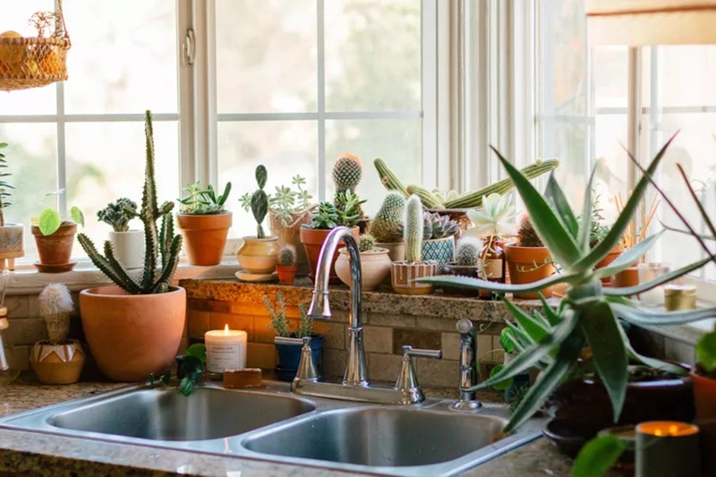 8. Chị em có thể làm mới căn bếp gia đình theo phong cách boho bằng cách thêm các chậu cây, giỏ, thớt gỗ, cốc gốm, nến thơm. Không chỉ tạo ra điểm nhấn cho căn bếp gia đình mà chúng còn góp phần mang lại cảm giác vui tươi, đầy sức sống trong căn bếp.