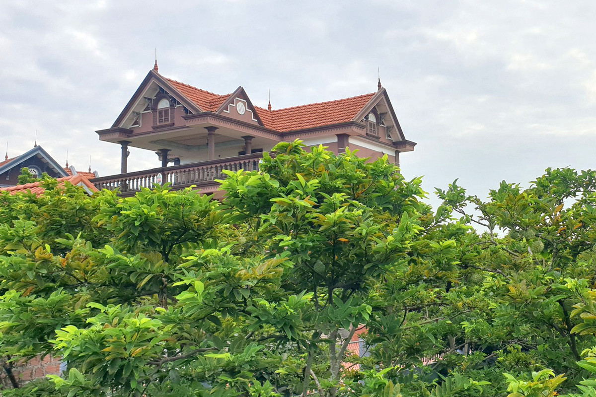 Ngôi làng ngày càng nhiều biệt thự nhờ trồng loại cây này - Hình 2 Ngoi lang ngay cang nhieu biet thu nho trong loai cay nay-Hinh-2