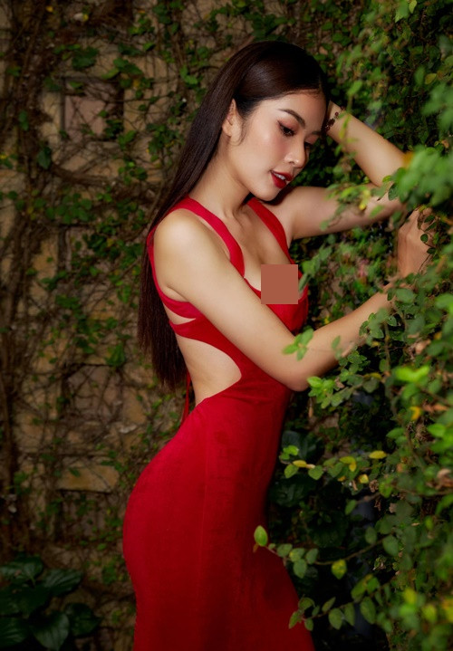 Thử sức ở cuộc thi Miss Universe Vietnam 2023, Lệ Nam được nhiều fan ủng hộ.