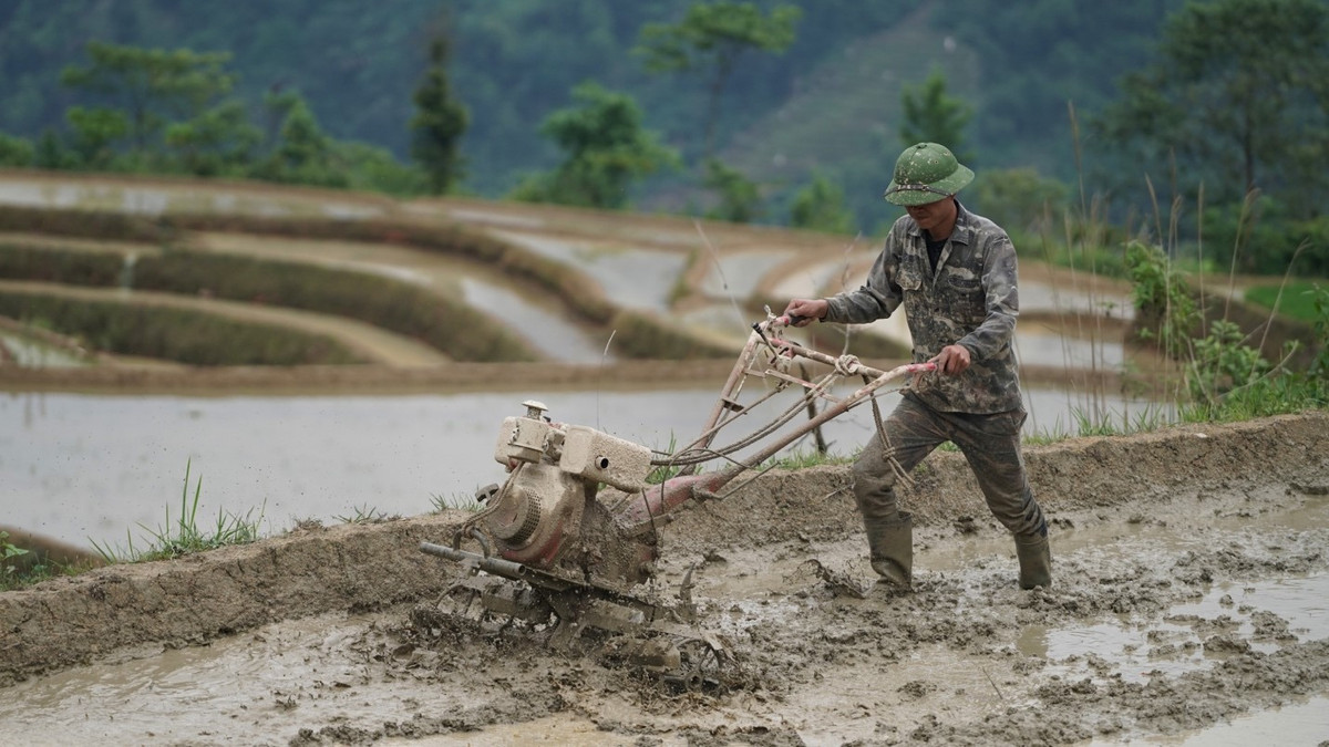 Cao Bo mua nuoc do - buc tranh hoang so giua dai ngan-Hinh-8
