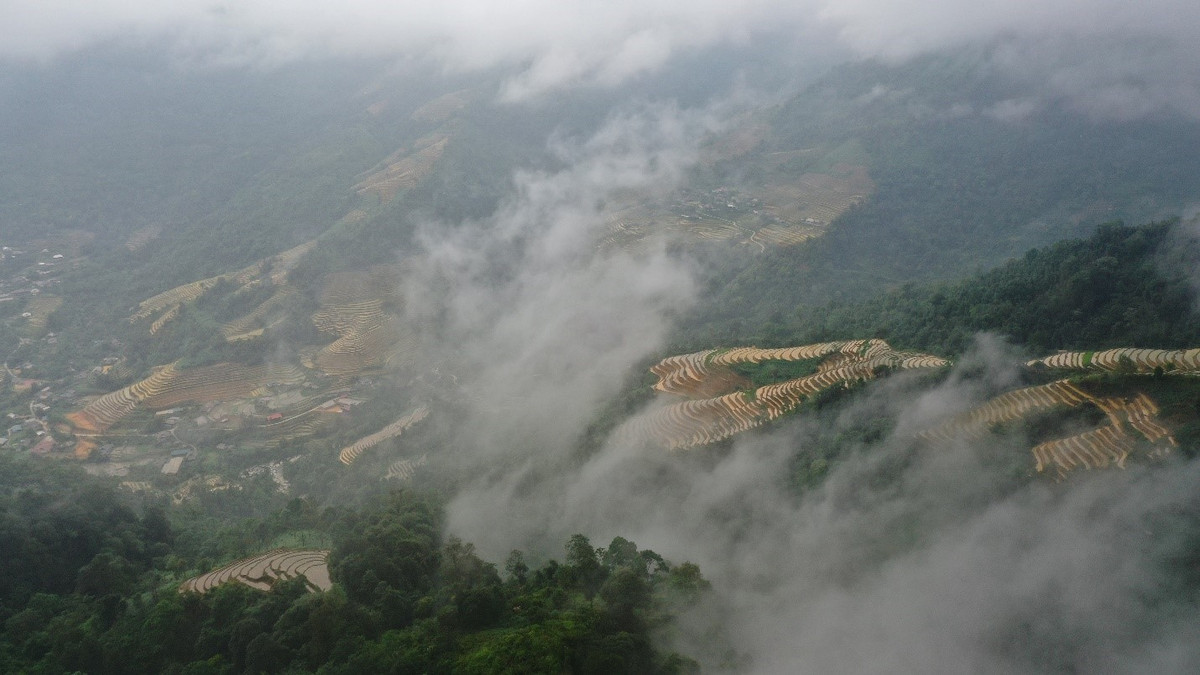 Cao Bo mua nuoc do - buc tranh hoang so giua dai ngan-Hinh-5