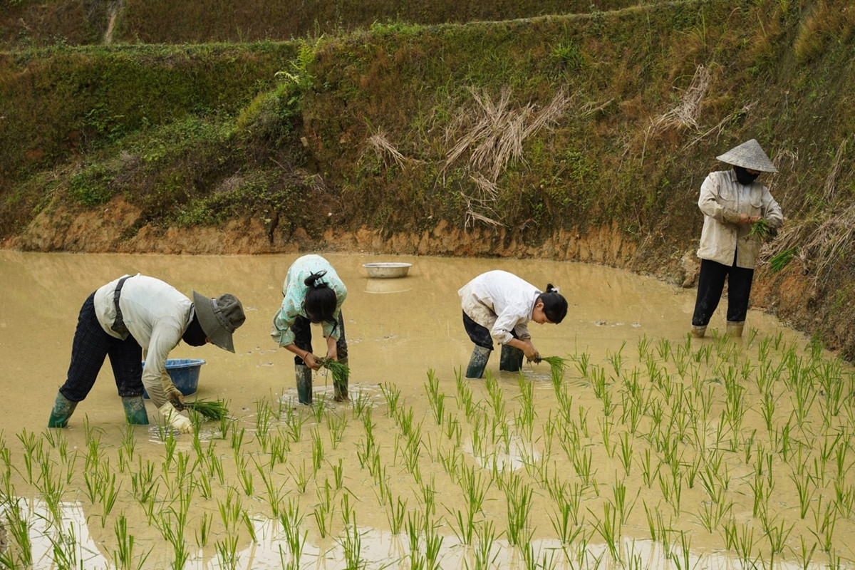 Cao Bo mua nuoc do - buc tranh hoang so giua dai ngan-Hinh-7