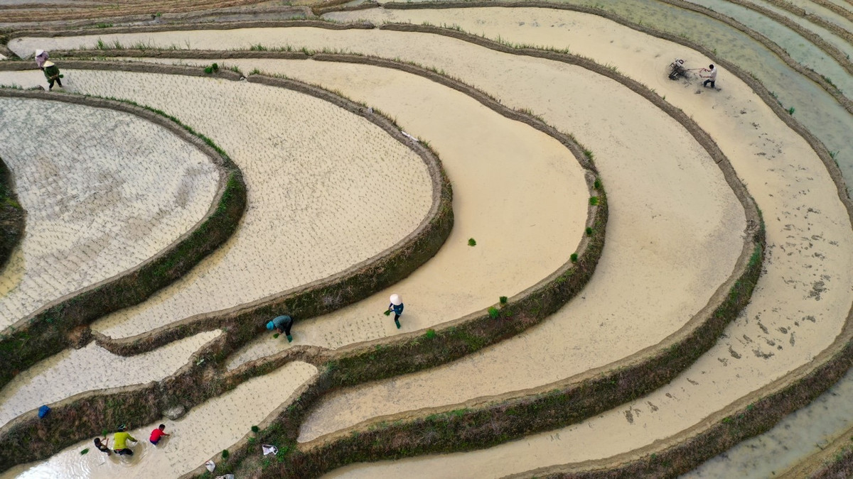 Cao Bo mua nuoc do - buc tranh hoang so giua dai ngan-Hinh-3
