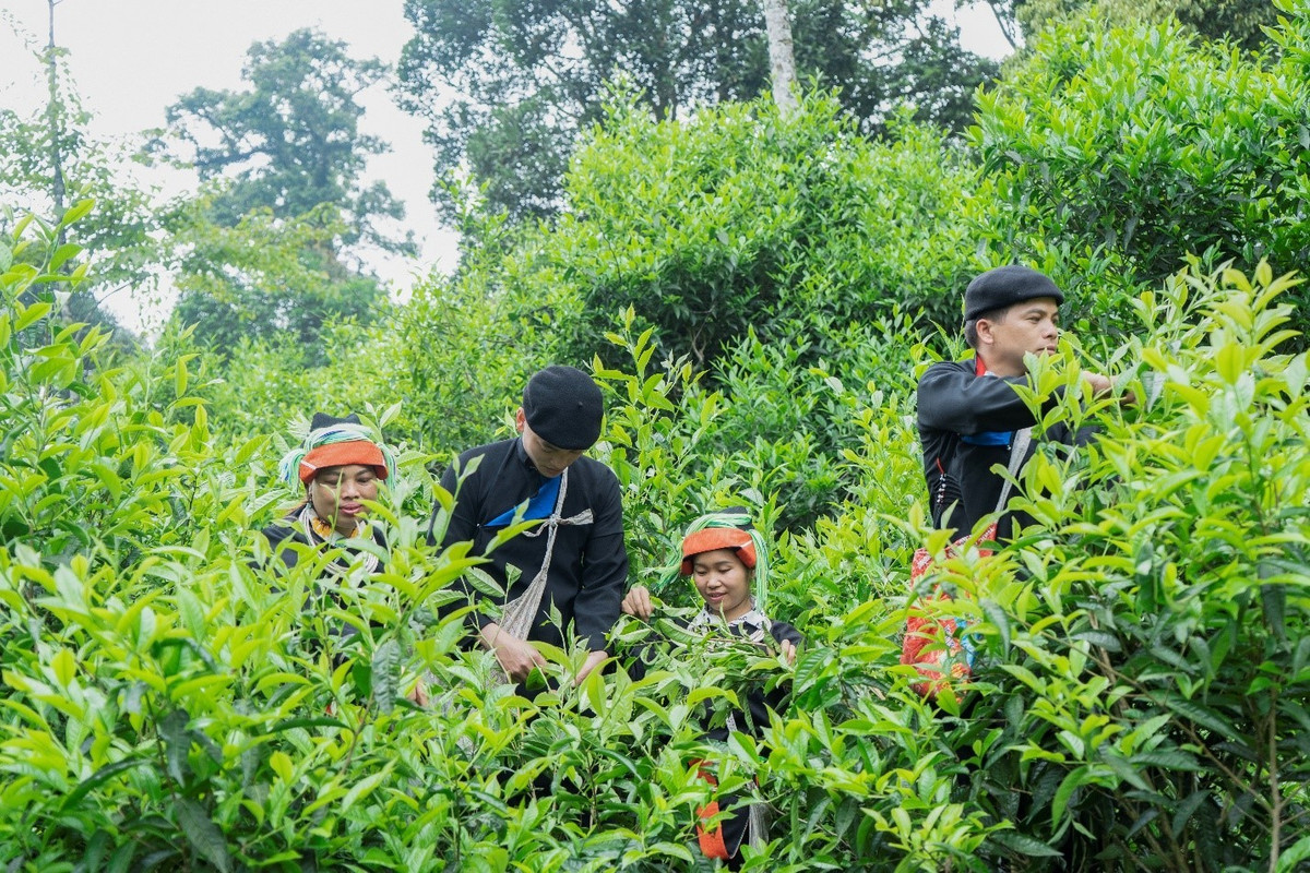 Cao Bo mua nuoc do - buc tranh hoang so giua dai ngan-Hinh-12