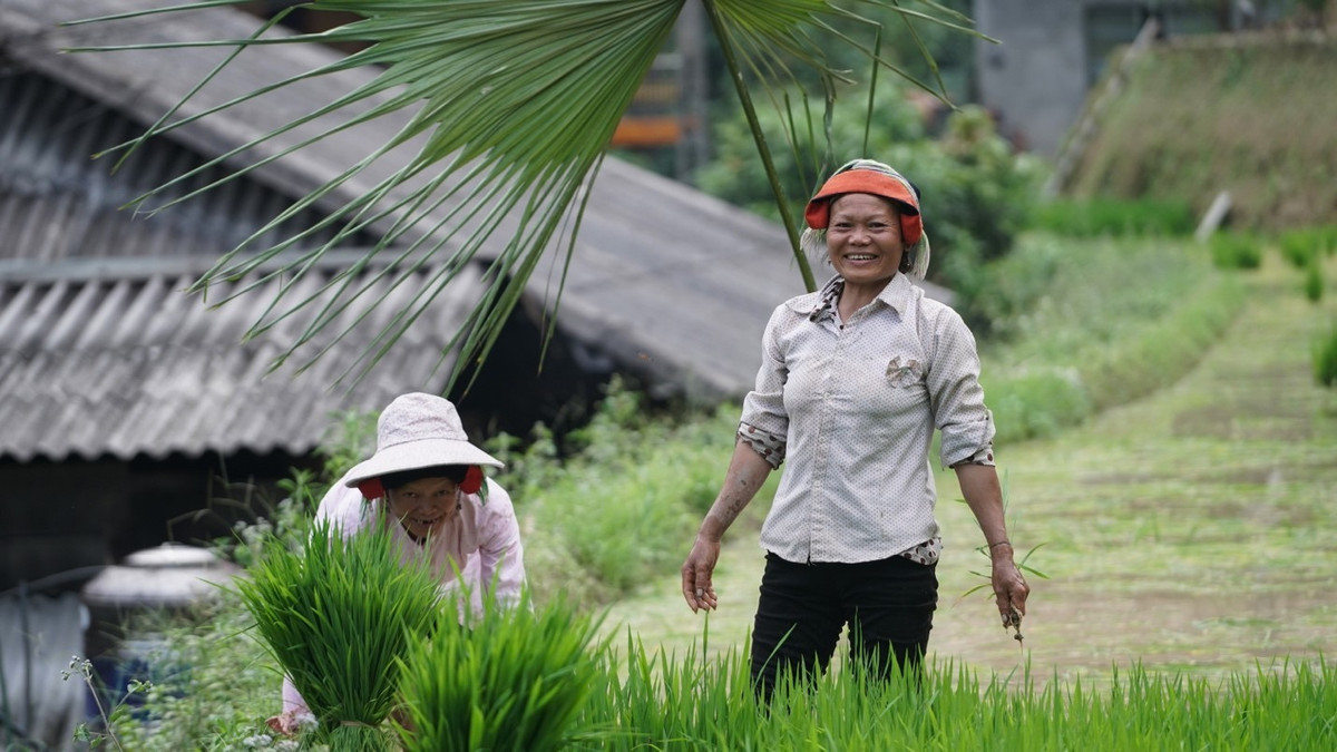 Cao Bo mua nuoc do - buc tranh hoang so giua dai ngan-Hinh-6