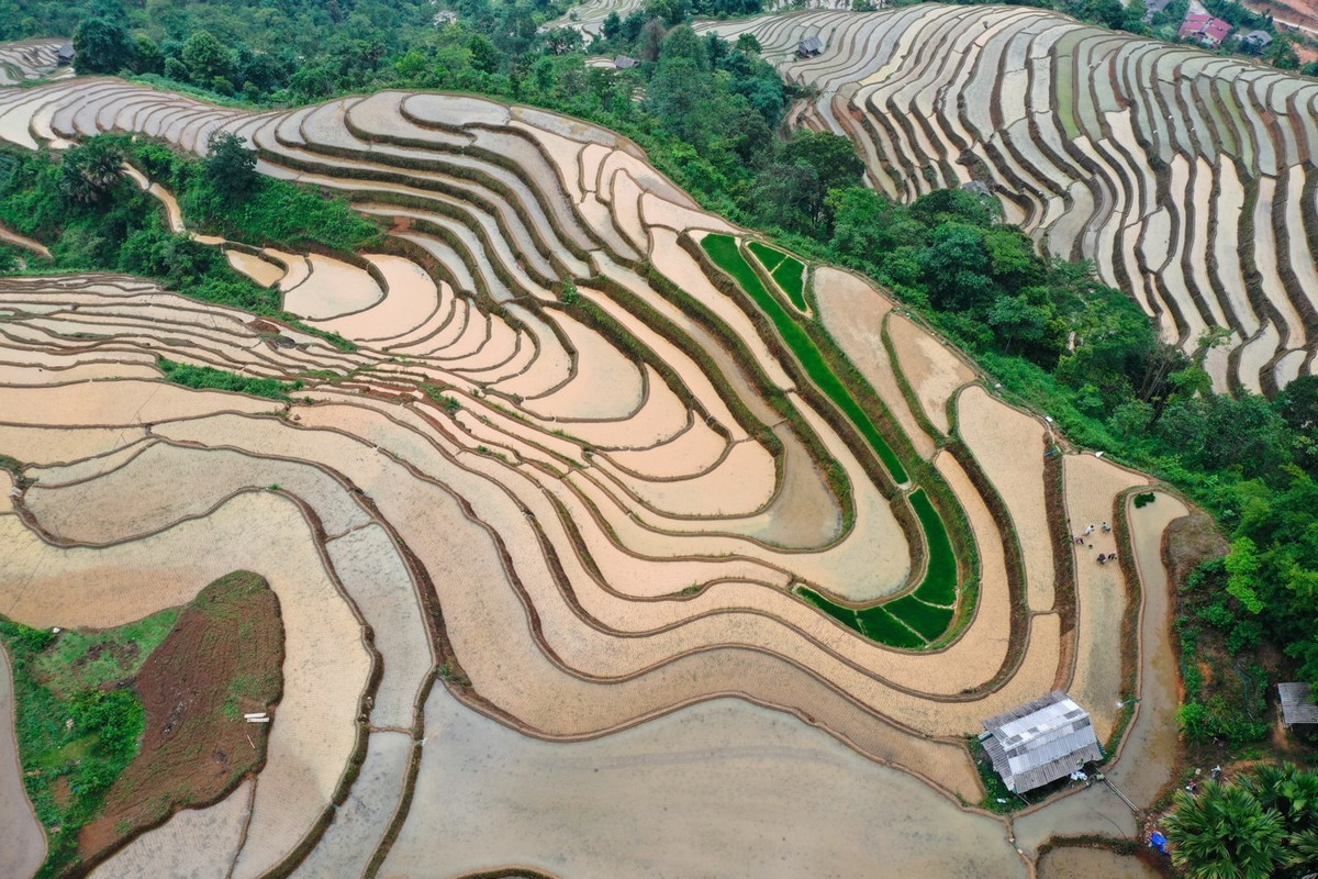 Cao Bo mua nuoc do - buc tranh hoang so giua dai ngan-Hinh-4