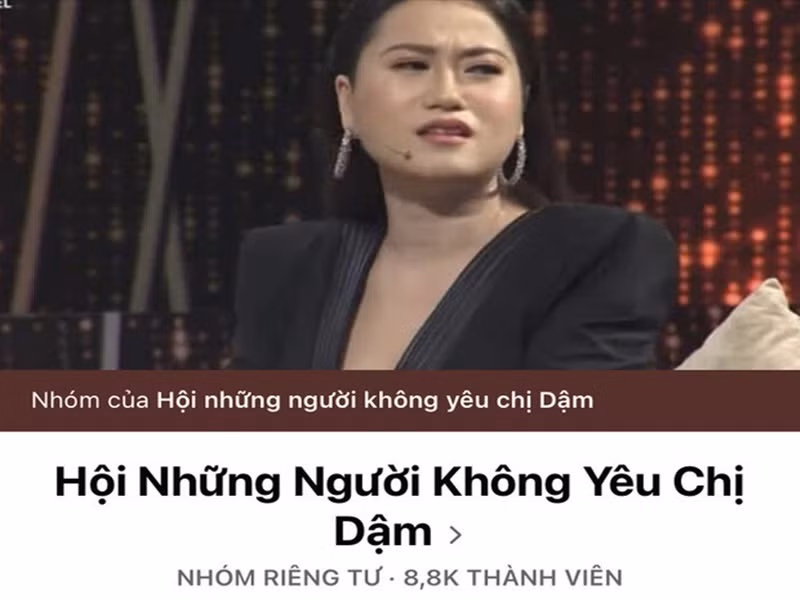 Lâm Vỹ Dạ cũng bị lập nhóm antifan với hàng nghìn thành viên. Antifan ghét Lâm Vỹ Dạ vì cô xuất hiện quá nhiều trên truyền hình, có một số hành động mất cảm tình trong gameshow. Ảnh: Dân Việt.