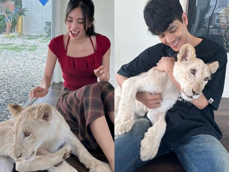 Mới đây, Tiểu Vy và Nicky Nachat bị soi đăng tải hình ảnh ở cùng địa điểm. Ảnh: Hoa Học Trò.