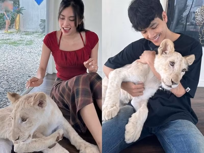 Mới đây, Tiểu Vy và Nicky Nachat bị soi đăng tải hình ảnh ở cùng địa điểm. Ảnh: Hoa Học Trò.