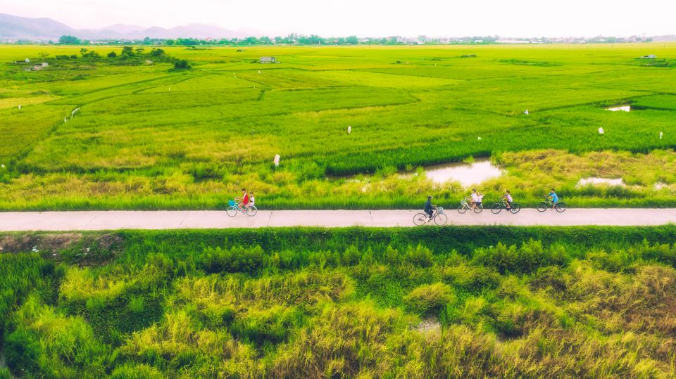 Co do Hue o mot goc nhin day mau sac-Hinh-2