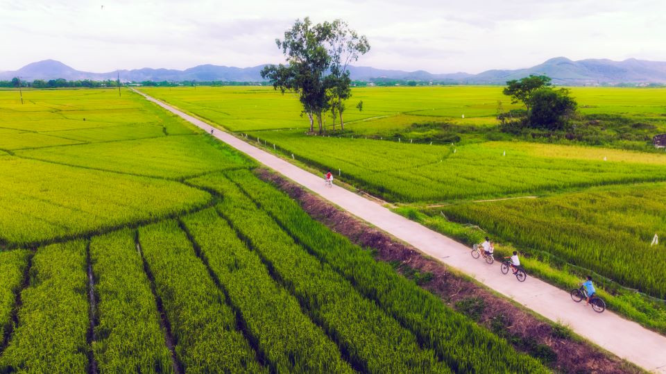 Co do Hue o mot goc nhin day mau sac-Hinh-4