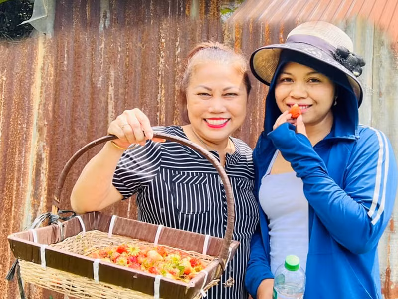 Siu Black lập một kênh Youtube để ghi lại cuộc sống đời thường. Trong ảnh, cô lên Đà Lạt hái dâu. Ảnh: FBNV.