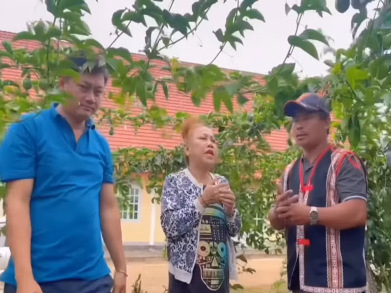 Ngoài chanh, Siu Black còn trồng cà phê. Ảnh chụp màn hình