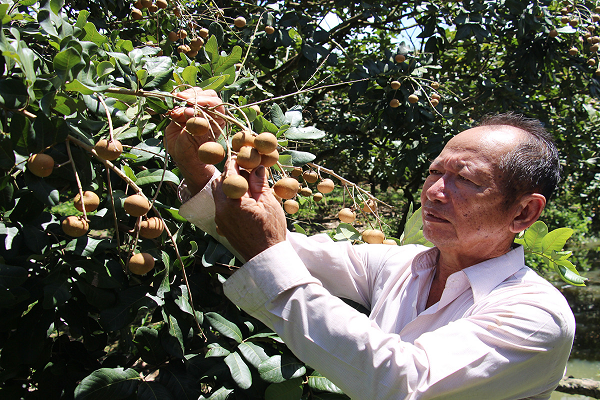 Tu tay trang thu tien ty nho trong thanh nhan, mit Thai