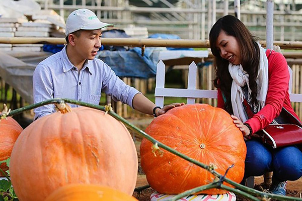 Nhung diem check-in thu vi o Da Lat