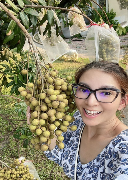 Ở Mỹ, vợ chồng Phạm Thanh Thảo đầu tư, chăm sóc vườn cây. Ảnh: FBNV.