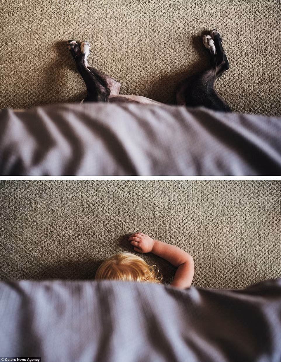 Ngủ nướng không màng đến thời gian.