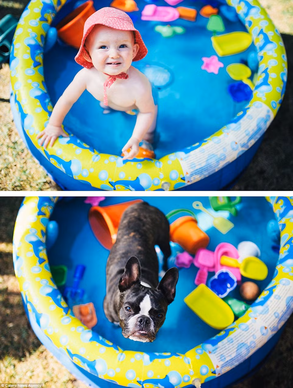 Cùng giải nhiệt mùa hè với bể bơi phao.