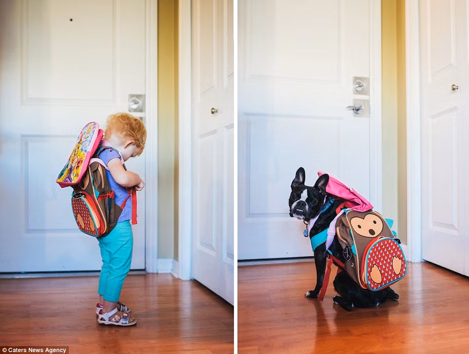 Khi Ella đi học mẫu giáo, Charlie cũng tay xách nách mang đeo ba lô như cô chủ.