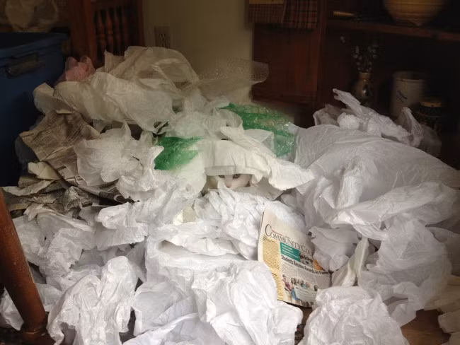 Không nề hà việc phải chui vào đống giấy lộn, mèo trắng lợi dụng màu sắc bộ lông của mình để tìm chỗ trốn hoàn hảo nhất.