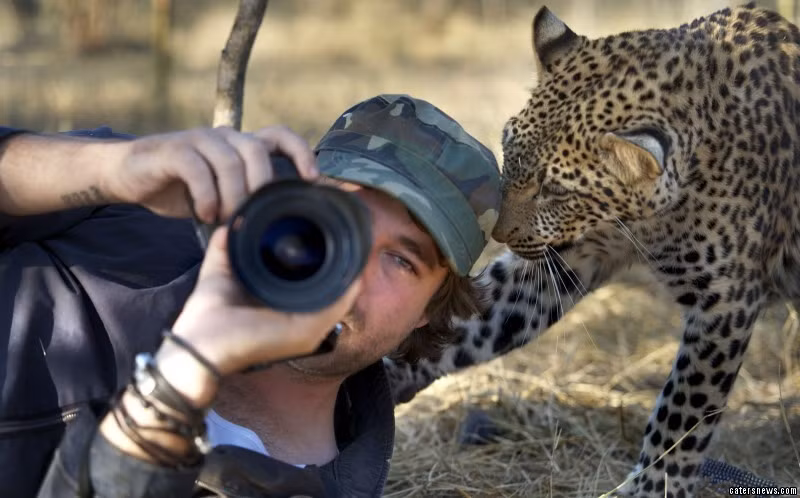 Nhiếp ảnh gia động vật hoang dã Russell McLaughlin cũng từng gặp trường hợp như vậy.