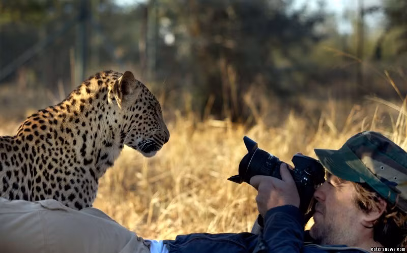 Nó rất thân thiện làm quen, ngoan ngoãn làm mẫu ảnh.