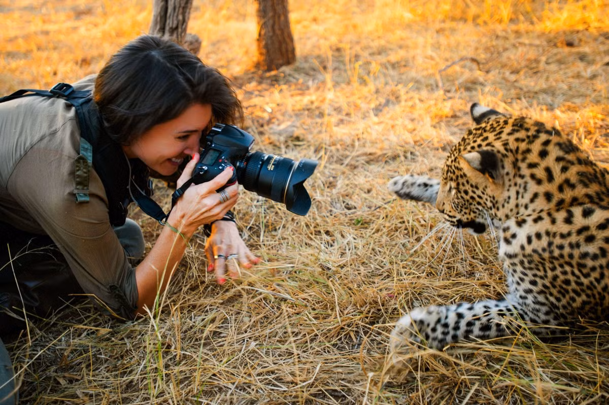 Sau một hồi nịnh nọt, báo đốm cũng được thỏa mãn khi nữ nhiếp ảnh gia Shannon Benson đã đồng ý chụp chân dung cho nó.