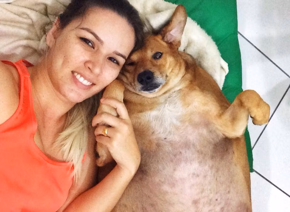 Chú chó này hàng ngày tham gia một chế độ tập luyện nghiêm túc, đi bộ trên máy chạy bộ trong nước để giảm bớt căng thẳng các khớp, các cơ đau nhức của mình. Đồng thời, khẩu phần ăn uống của Bolinha cũng giảm đáng kể, bị thắt chặt.