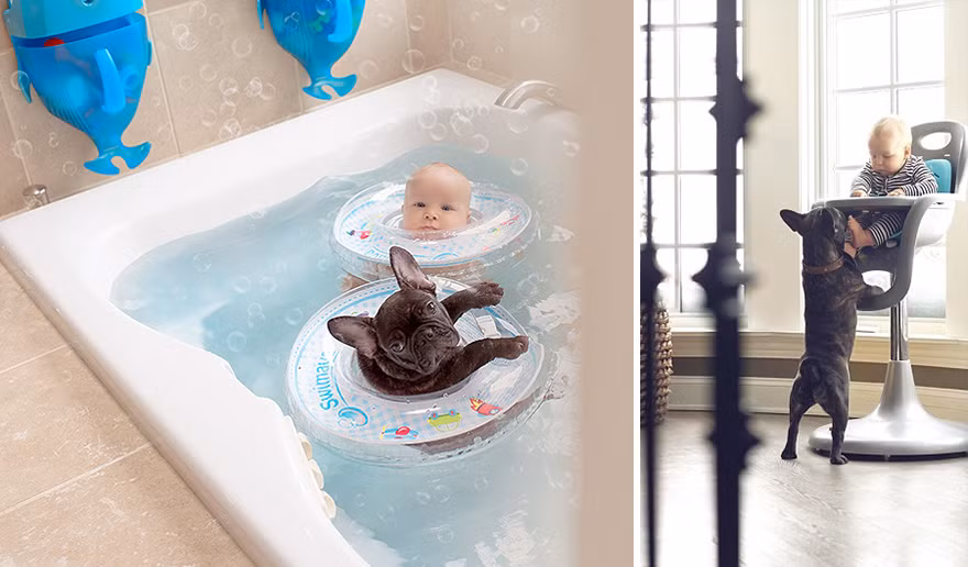 Tình bạn của chú chó cưng Farley và Dylan là nguồn cảm hứng cho mẹ Ivette sáng tạo nên những tác phẩm xúc động, ấm áp tình cảm giữa người và vật.