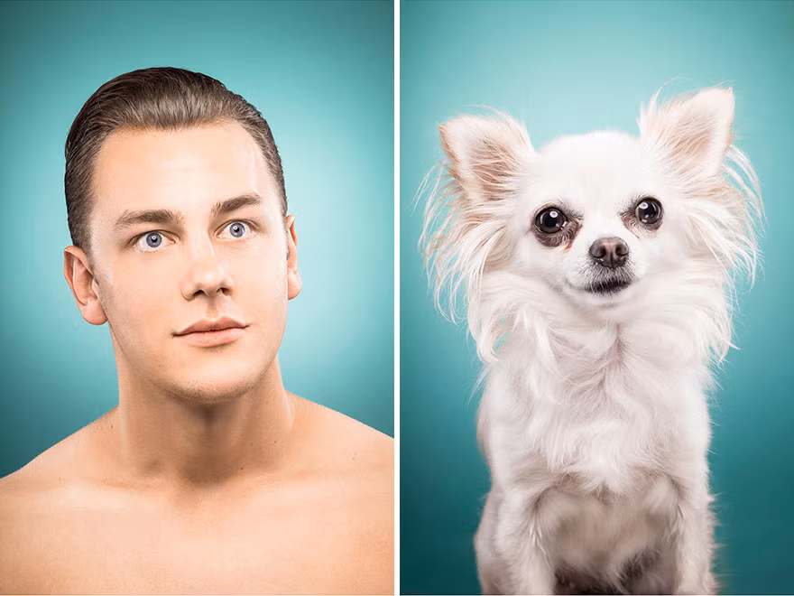 Khi ngỡ ngàng, ánh mắt của cô chó nhỏ và cậu chủ của nó chẳng khác nhau bao nhiêu.