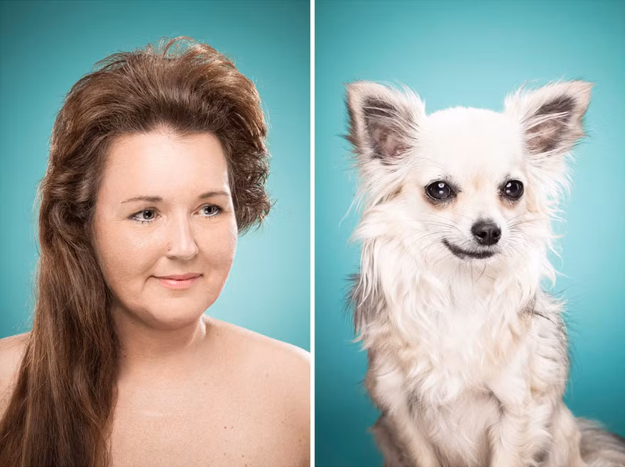 Điệu cười mỉm dịu dàng, e lệ của cô chó nhỏ chắc chắn là học được từ bà chủ.