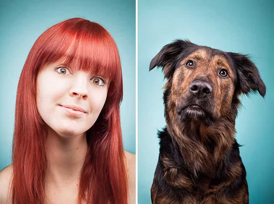 Sau khi những con chó được chụp xong, chủ sở hữu sẽ mô phỏng lại biểu cảm của thú cưng và tạo nên khoảnh khắc "chủ nào chó nấy" cực đáng yêu này.