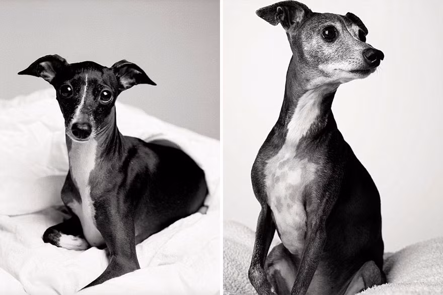 Audrey, lúc 3 tuổi và khi đã 12 tuổi.