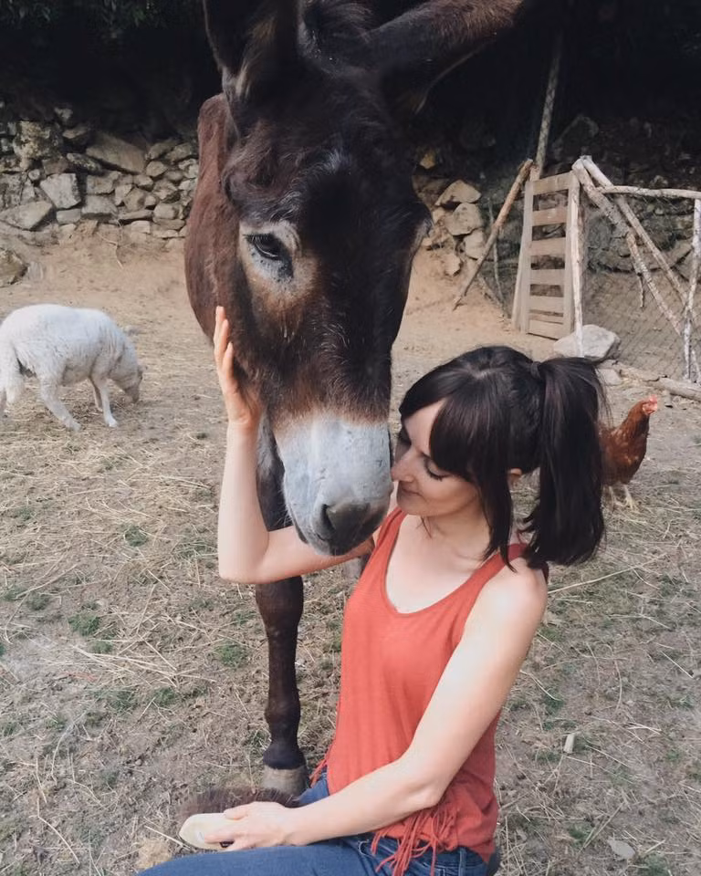 Tuy vậy, mọi người vẫn không bỏ cuộc, nỗ lực tìm kiếm, cuối cùng đã thấy Fernando đang nằm lả đi trong một góc rừng. Ngay lập tức, chú lừa già được đưa về trại cứu hộ để chăm sóc và phục hồi sức khỏe.