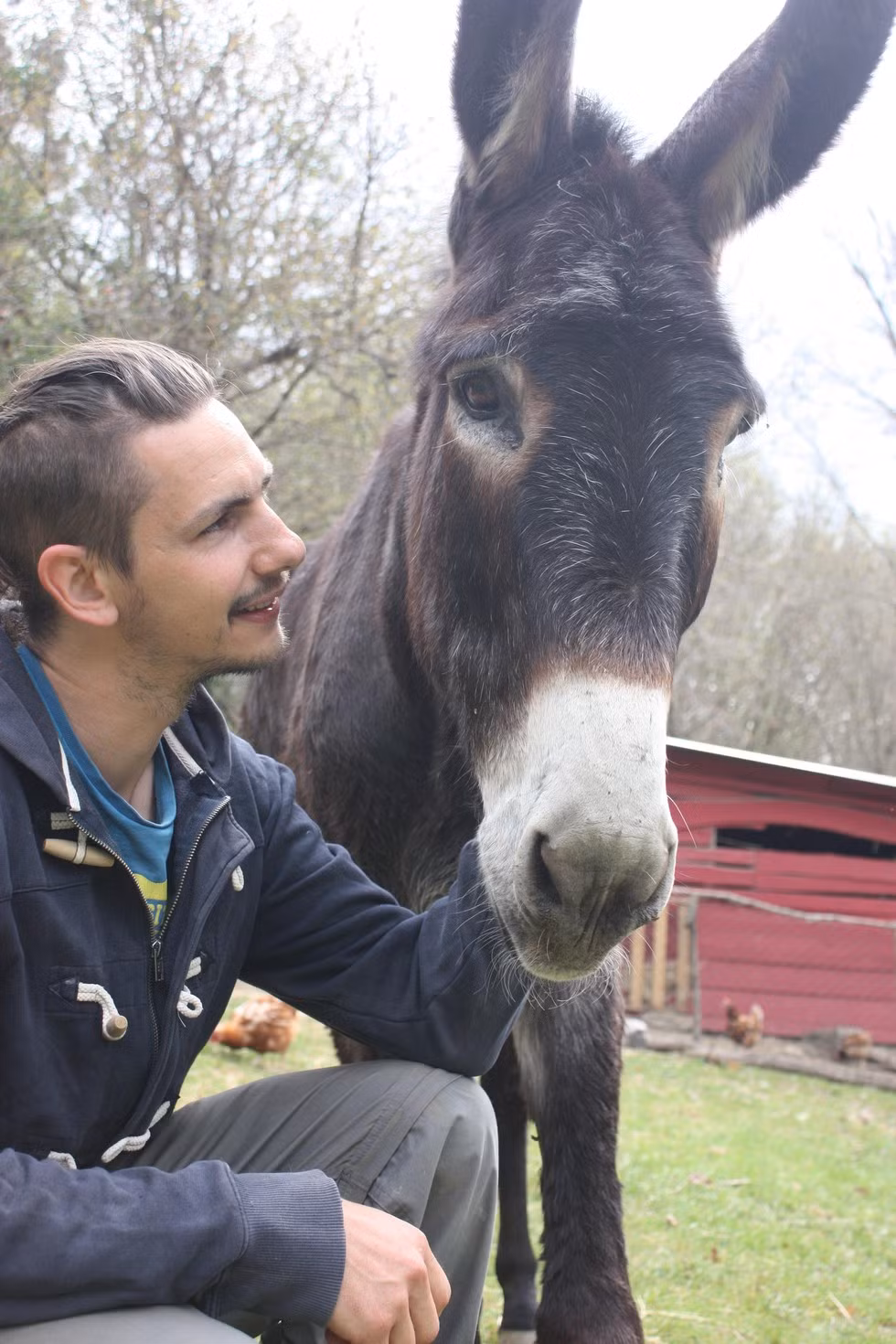 Trải qua những ngày tháng lao động vất vả, những đau đớn khi bị chấn thương không người chăm sóc, lúc đau yếu nhất bị chủ nhân vứt bỏ vì hết giá trị lợi dụng, đói bụng đến lả ở cả trong rừng, Fernando đã bước một chân vào cõi chết.