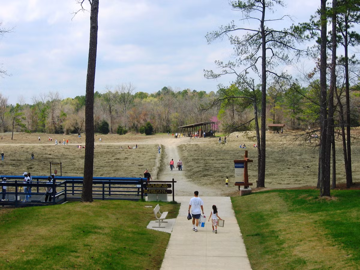 Hàng trăm ngàn người đến công viên mỗi ngày để đào kim cương.