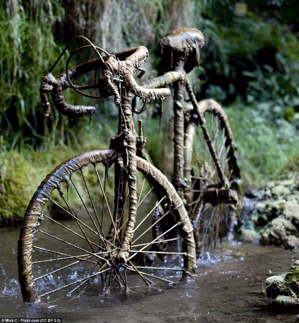 Giếng nước Petrifying well đã hóa đá một chiếc xe đạp.