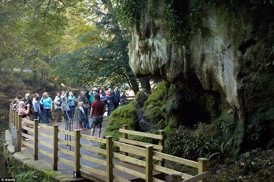 Người ta cho rằng Shipton xấu như quỷ bởi cha của bà chính là một ác quỷ. Tuy vậy, lớn lên bà lại có một khả năng đặc biệt, tiên tri. Shipton được cho là người đã dự đoán chính xác trận hỏa hoạn ở London vào năm 1666 cũng như sự thất bại của hạm đội Tây Ban Nha năm 1588 và thậm chí cả việc phát minh ra điện thoại di động.