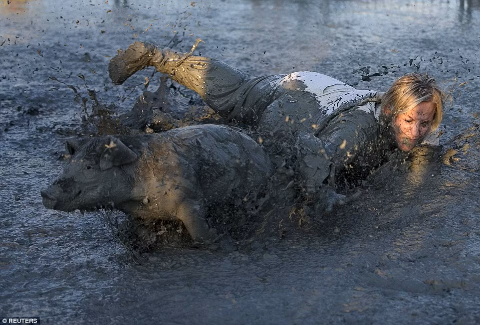 Cuộc thi bắt lợn kỳ quái này không chỉ thu hút các thí sinh nam mà ngay cả nữ giới cũng rất hào hứng ghi tên tham dự.