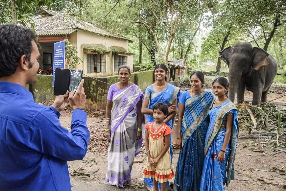 Một nhóm khách du lịch chụp ảnh kỷ niệm với con voi hiền lành mà không hề biết rằng con voi này đã từng ở trại huấn luyện không lâu trước đây, và nếu chỉ bất cẩn một chút, nó sẽ bị trở lại địa ngục huấn luyện.