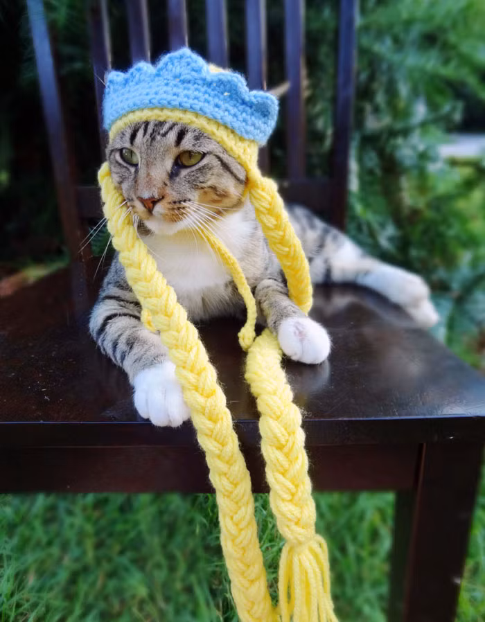 Rảnh rỗi, chú ta lại đội một chiếc mũ nhỏ, hóa trang trang thành công chúa tóc mây Rapunzel với mái tóc vàng óng ả.