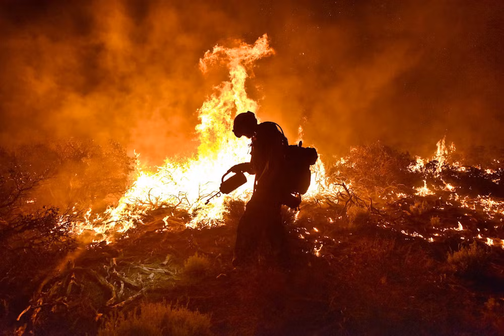 Trong trận cháy rừng khủng khiếp ở vườn quốc gia San Bernardino, phía Tây nước Mỹ, tổng cộng đã có 30.000 mẫu rừng bị thiêu rụi.