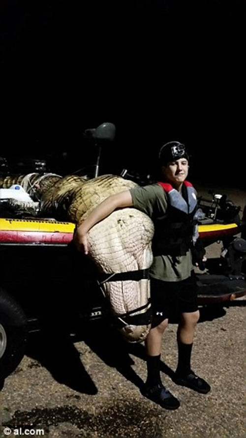 Sau khi biết về trọng lượng con cá sấu nhóm mình bắt được chỉ kém một chút so với con cá sấu đang giữ kỷ lục thế giới, ông Scott không hề tỏ ra tiếc nuối. Scott cảm thấy đây chính là vận may của mình khi ông và cả nhóm đã không trông mong bắt được một con cá sấu khủng.