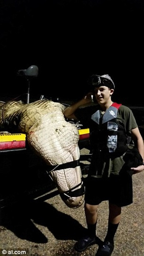 Khi bắt được cá sấu, Scott và nhóm của ông không hề biết con cá sấu mình bắt được lại có thể là con cá sấu lớn thứ hai thế giới cho đến khi nó được cân lên. Con cá sấu khổng lồ này nặng tới 417kg, dài hơn 4m.