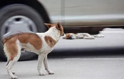 Xem thêm một số hình ảnh khác.