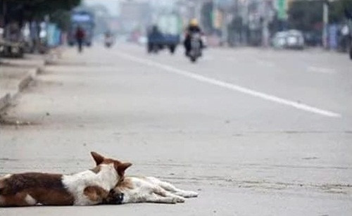 Đó cũng là những giây phút cuối cùng mà đôi bạn này được ở bên nhau.