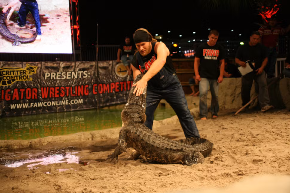 Cuộc thi đấu vật tự do với cá sấu ở Mỹ là một trong những cuộc thi quái đản thu hút nhiều người đàn ông dũng cảm tham dự. Tham gia cuộc thi này, các thí sinh sẽ được trải nghiệm cảm giác chinh phục con quái vật khiến nhiều người khiếp sợ.