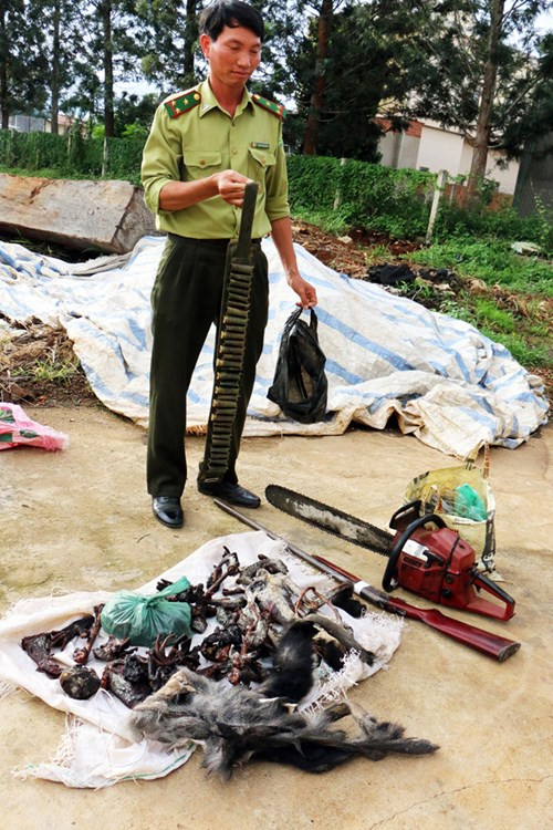 Vừa qua, Công an huyện Đức Trọng (Lâm Đồng) đã chính thức tiếp nhận hồ sơ vụ sát hại hàng loạt cá thể voọc chà vá chân đen, một loài động vật quý hiếm nhóm IB, có tên trong sách đỏ Việt Nam, được coi là một trong những "báu vật" của thế giới.